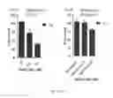 Fig. 04 - METHODS AND COMPOSITIONS FOR KILLING SENESCENT CELLS AND FOR TREATING SENESCENCE-ASSOCIATED DISEASES AND DISORDERS