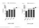 Fig. 06 - METHODS AND COMPOSITIONS FOR KILLING SENESCENT CELLS AND FOR TREATING SENESCENCE-ASSOCIATED DISEASES AND DISORDERS