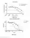 Fig. 26 - METHODS AND COMPOSITIONS FOR KILLING SENESCENT CELLS AND FOR TREATING SENESCENCE-ASSOCIATED DISEASES AND DISORDERS