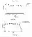 Fig. 29 - METHODS AND COMPOSITIONS FOR KILLING SENESCENT CELLS AND FOR TREATING SENESCENCE-ASSOCIATED DISEASES AND DISORDERS