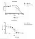 Fig. 30 - METHODS AND COMPOSITIONS FOR KILLING SENESCENT CELLS AND FOR TREATING SENESCENCE-ASSOCIATED DISEASES AND DISORDERS