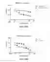 Fig. 32 - METHODS AND COMPOSITIONS FOR KILLING SENESCENT CELLS AND FOR TREATING SENESCENCE-ASSOCIATED DISEASES AND DISORDERS