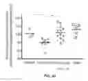 Fig. 41 - METHODS AND COMPOSITIONS FOR KILLING SENESCENT CELLS AND FOR TREATING SENESCENCE-ASSOCIATED DISEASES AND DISORDERS