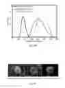Fig. 04 - Modified albumin microbubble and method of making the same