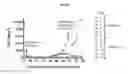 Fig. 04 - INTERMITTENT DOSING OF MDM2 INHIBITOR