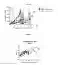Fig. 17 - INTERMITTENT DOSING OF MDM2 INHIBITOR