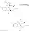 Fig. 29 - Inhibitors of beta-secretase