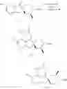 Fig. 55 - Inhibitors of beta-secretase