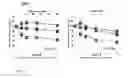 Fig. 07 - METHODS AND COMPOSITIONS FOR TREATMENT OF HER-POSITIVE CANCERS