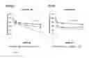 Fig. 09 - METHODS AND COMPOSITIONS FOR TREATMENT OF HER-POSITIVE CANCERS