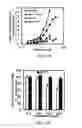 Fig. 07 - Method for the induction of phase 2 related genes in a mammal comprising administering exemestane