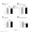 Fig. 06 - Compositions and methods for the repair of myelin
