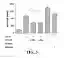 Fig. 05 - Composition comprising GPCR19 agonist as an active ingredient for preventing or treating allergic dermatitis