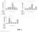 Fig. 06 - Composition comprising GPCR19 agonist as an active ingredient for preventing or treating allergic dermatitis