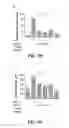 Fig. 08 - Composition comprising GPCR19 agonist as an active ingredient for preventing or treating allergic dermatitis