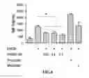 Fig. 14 - Composition comprising GPCR19 agonist as an active ingredient for preventing or treating allergic dermatitis