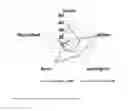 Fig. 01 - Medicament