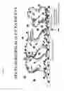 Fig. 08 - SYSTEMS FOR TREATING PULMONARY INFECTIONS