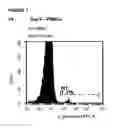 Fig. 02 - GAMMA DELTA T CELLS AND USES THEREOF