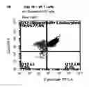 Fig. 03 - GAMMA DELTA T CELLS AND USES THEREOF