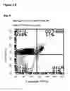 Fig. 06 - GAMMA DELTA T CELLS AND USES THEREOF