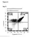 Fig. 07 - GAMMA DELTA T CELLS AND USES THEREOF