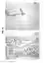 Fig. 27 - Reducing CXCR4 expression and/or function to enhance engraftment of hematopoietic stem cells