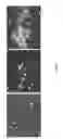 Fig. 04 - Compositions and methods