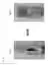 Fig. 15 - Methods of improving milk production and compositional characteristics