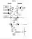 Fig. 02 - Ornithodoros moubata complement inhibitor for use in the treatment of complement-mediated diseases in patients with C5 polymorphism
