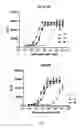 Fig. 05 - Oxyntomodulin analogs and methods of making and using same