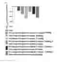Fig. 02 - Method for treating diabetes mellitus by a composition comprising insulin and a GLP-1/glucagon dual agonist