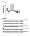 Fig. 03 - Method for treating diabetes mellitus by a composition comprising insulin and a GLP-1/glucagon dual agonist