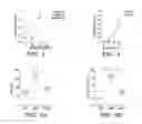 Fig. 08 - Methods for treating and preventing neutrophil-derived net toxicity and thrombosis