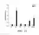 Fig. 13 - Methods for treating and preventing neutrophil-derived net toxicity and thrombosis