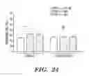 Fig. 25 - Methods for treating and preventing neutrophil-derived net toxicity and thrombosis