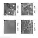 Fig. 28 - Methods for treating and preventing neutrophil-derived net toxicity and thrombosis