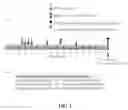 Fig. 02 - Methods, antibodies, and vaccines utilizing epitopes of alpha synuclein for treatment of parkinsons disease