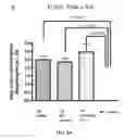 Fig. 05 - Methods, antibodies, and vaccines utilizing epitopes of alpha synuclein for treatment of parkinsons disease