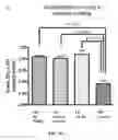 Fig. 07 - Methods, antibodies, and vaccines utilizing epitopes of alpha synuclein for treatment of parkinsons disease