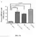 Fig. 08 - Methods, antibodies, and vaccines utilizing epitopes of alpha synuclein for treatment of parkinsons disease