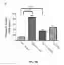 Fig. 09 - Methods, antibodies, and vaccines utilizing epitopes of alpha synuclein for treatment of parkinsons disease
