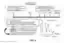 Fig. 11 - Methods, antibodies, and vaccines utilizing epitopes of alpha synuclein for treatment of parkinsons disease
