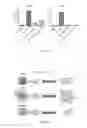 Fig. 08 - METHOD FOR PRODUCING AUTOLOGOUS TOLEROGENIC DENDRITIC CELLS (TOLDCS) WITH SPECIFIC ANTIGENS AND THEIR USE IN THE PREPARATION OF A MEDICAMENT USEFUL FOR THE TREATMENT OF SYSTEMIC LUPUS ERYTHEMATOSUS (SLE)