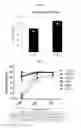 Fig. 06 - Method for preparing dendritic cell, dendritic cell prepared thereby, and use thereof