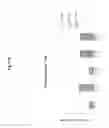 Fig. 24 - Method and compositions