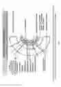 Fig. 07 - Streptococcal GlcNac-lacking gylcopolypeptides, cell wall carbohydrates, vaccines, and methods for making and using them