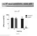 Fig. 23 - Streptococcal GlcNac-lacking gylcopolypeptides, cell wall carbohydrates, vaccines, and methods for making and using them