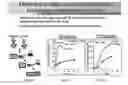 Fig. 26 - Streptococcal GlcNac-lacking gylcopolypeptides, cell wall carbohydrates, vaccines, and methods for making and using them