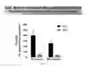 Fig. 56 - Streptococcal GlcNac-lacking gylcopolypeptides, cell wall carbohydrates, vaccines, and methods for making and using them